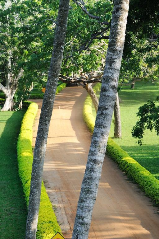 Peacock Beach Hotel Hambantota Eksteriør bilde