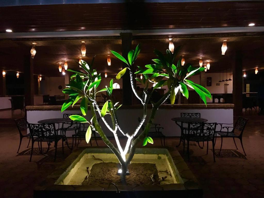 Peacock Beach Hotel Hambantota Eksteriør bilde